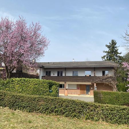 Apartments In Leafy Suburb Kehrsatz Extérieur photo