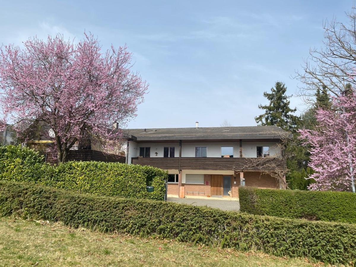 Apartments In Leafy Suburb Kehrsatz Extérieur photo