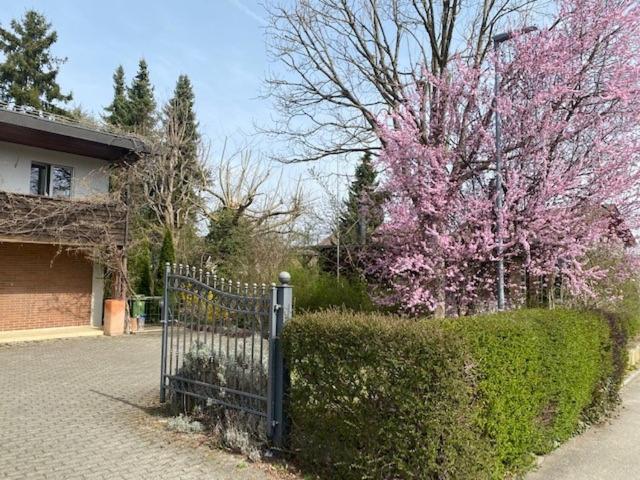 Apartments In Leafy Suburb Kehrsatz Extérieur photo